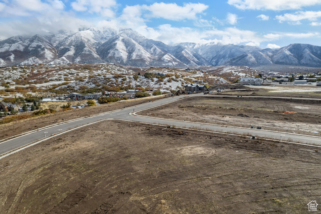 675 E BIRCH LN Elk Ridge, UT 84651