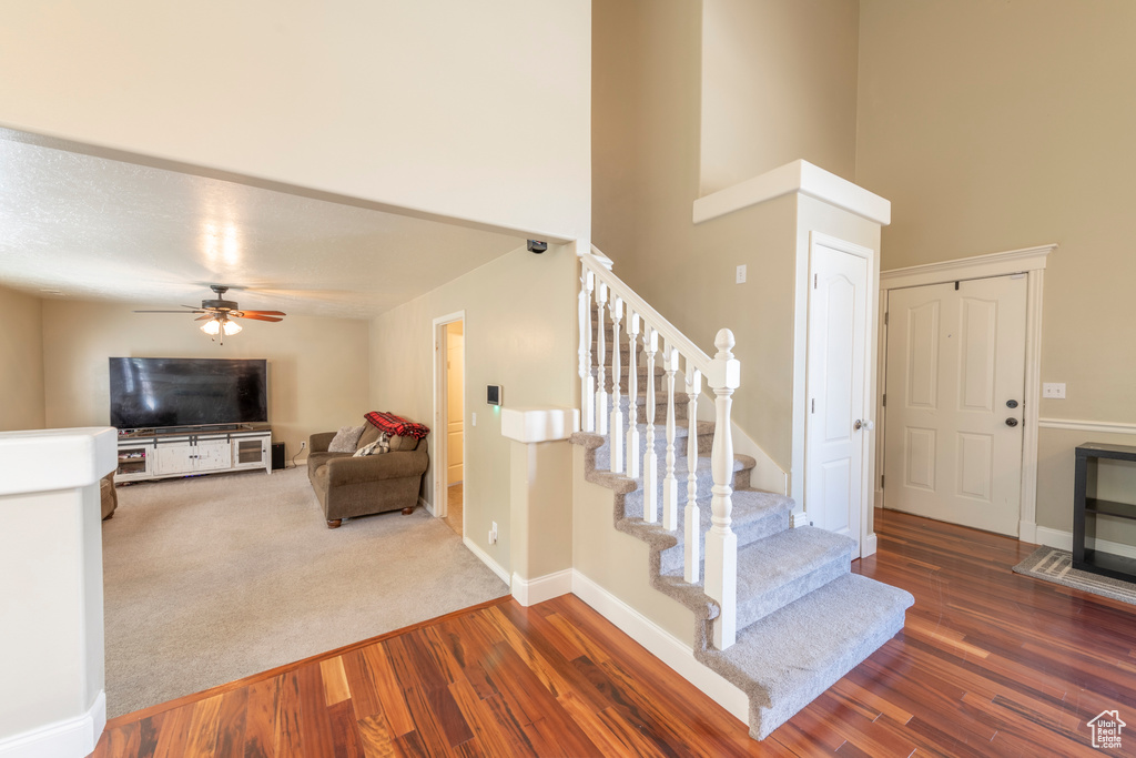 Stairs with a high ceiling, carpet floors, and ceiling fan