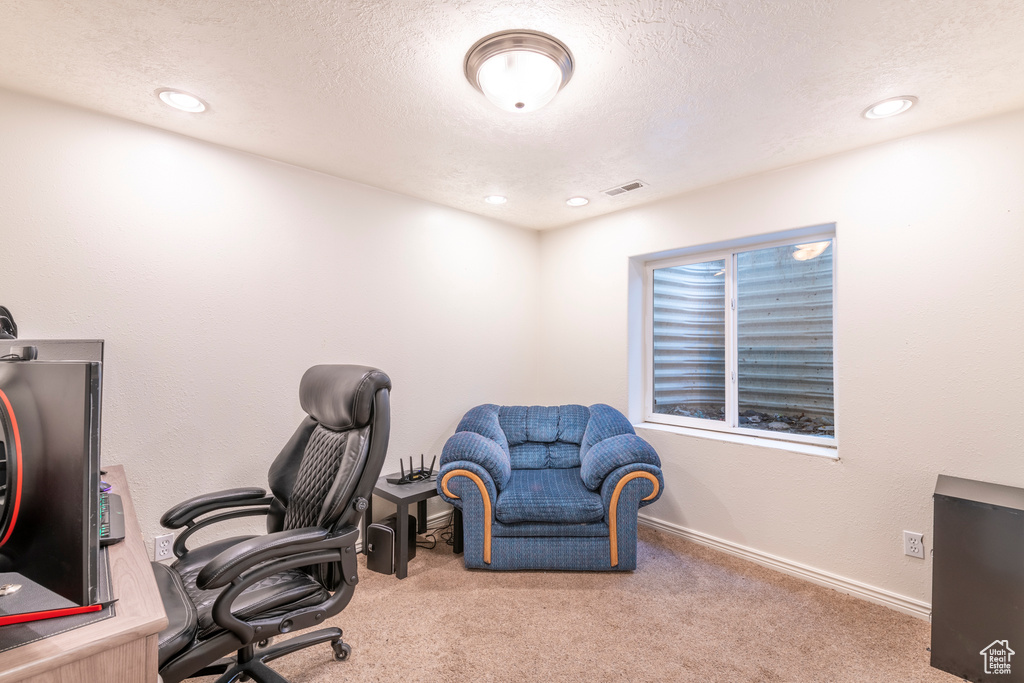 Office area with a textured ceiling and carpet floors