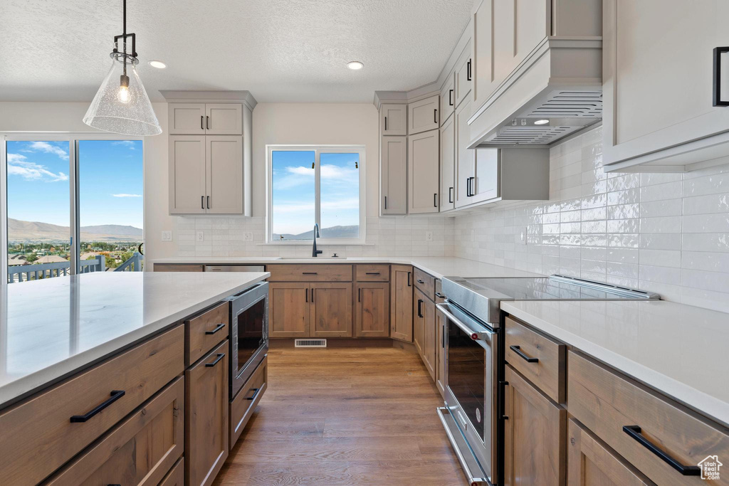 Kitchen featuring custom exhaust hood, tasteful backsplash, hardwood / wood-style flooring, a mountain view, and stainless steel appliances