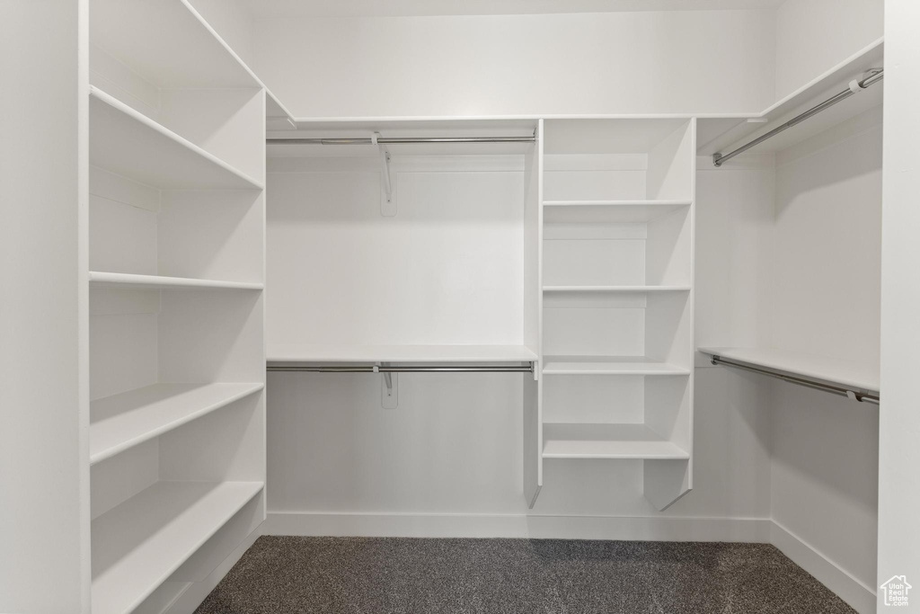 Spacious closet with dark colored carpet