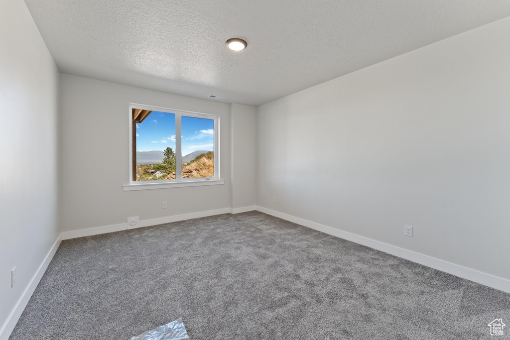 Carpeted spare room featuring a textured ceiling