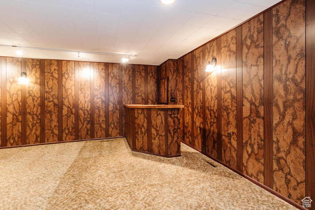 Basement with carpet and wooden walls