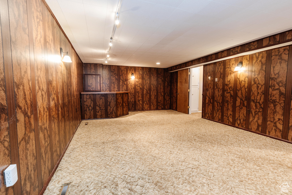 Basement with wood walls, carpet floors, and rail lighting