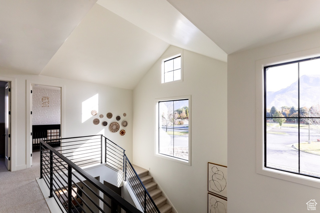 Staircase with lofted ceiling and carpet