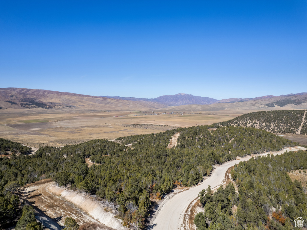 Drone / aerial view featuring a mountain view