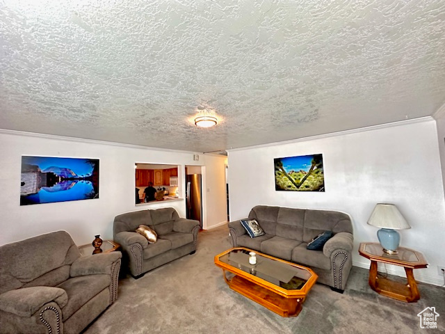 Living room with a textured ceiling and carpet flooring