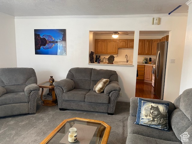 Carpeted living room featuring sink, ceiling fan, ornamental molding, and a textured ceiling