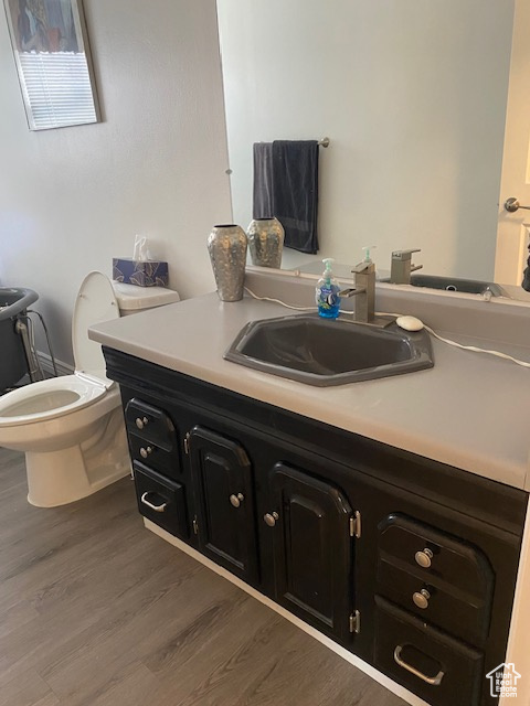 Bathroom featuring vanity, toilet, and hardwood / wood-style flooring