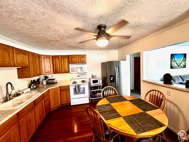 Kitchen featuring dark hardwood / wood-style flooring, a textured ceiling, sink, and white appliances