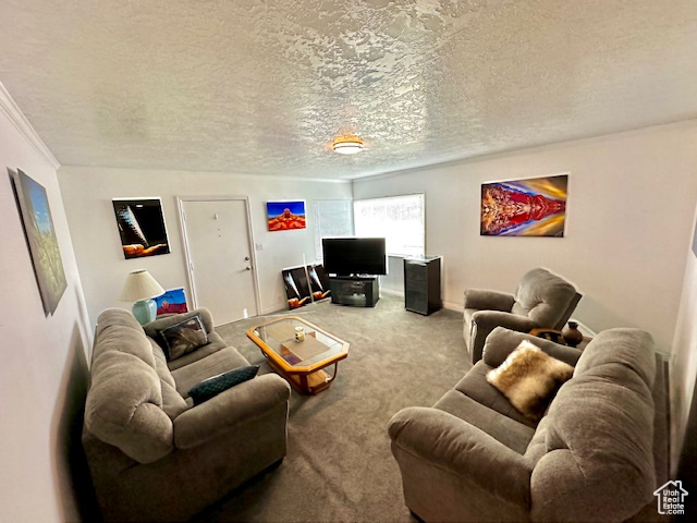 Carpeted living room with a textured ceiling