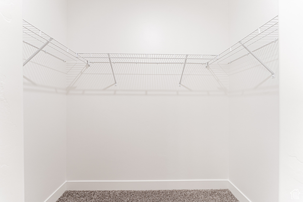 Spacious closet with carpet floors