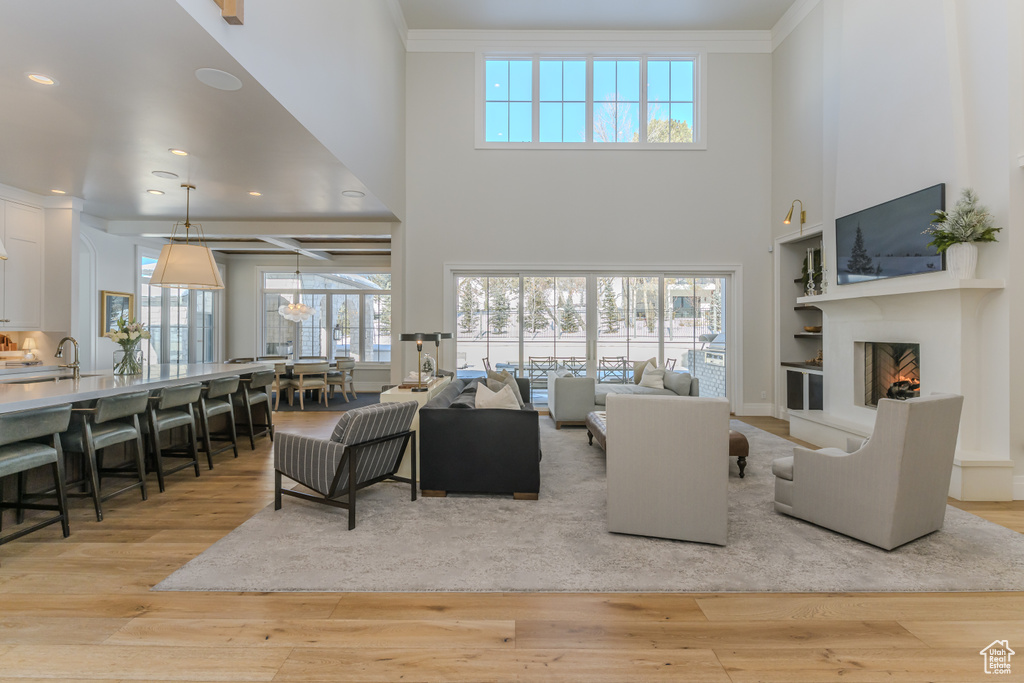 Living room featuring light hardwood / wood-style floors, ornamental molding, and plenty of natural light