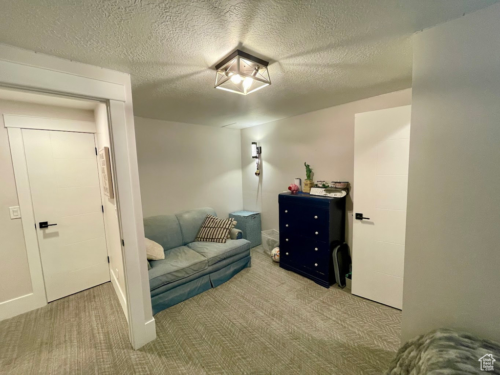 Living area featuring a textured ceiling and light carpet