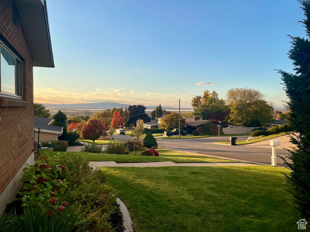 View of yard at dusk