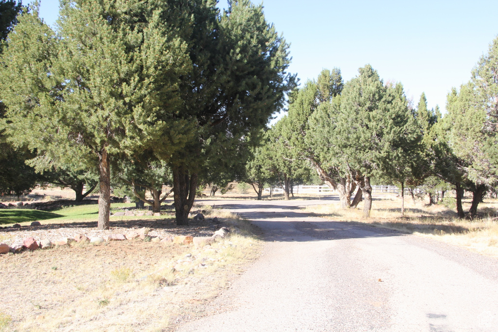 View of road