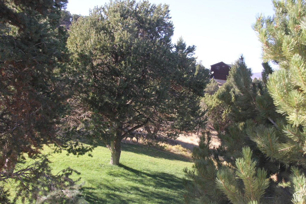 View of nature