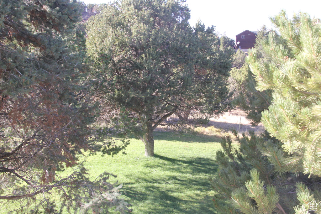 Exterior space