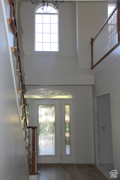 Entryway featuring a towering ceiling