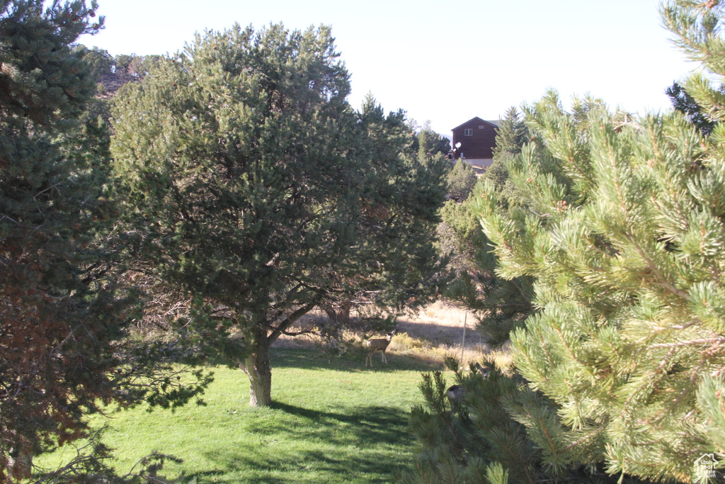 View of landscape