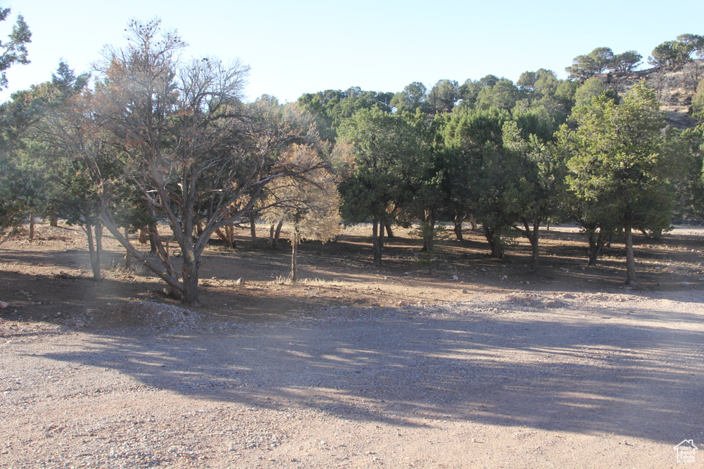 View of street featuring a rural view