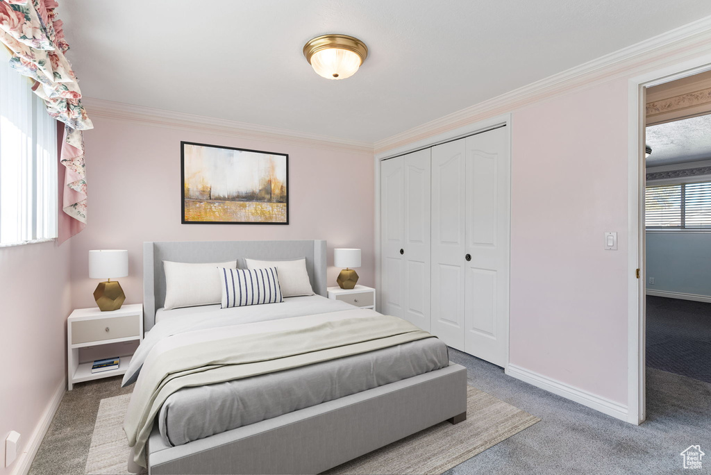 Carpeted bedroom featuring ornamental molding and a closet