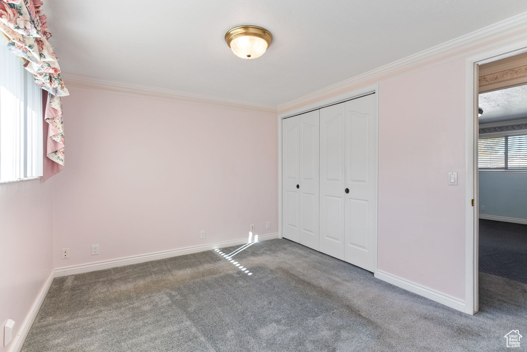 Unfurnished bedroom with a closet, carpet floors, and ornamental molding