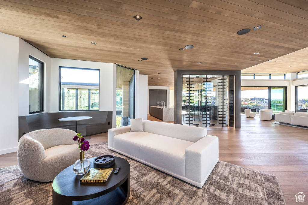 Living area featuring wooden ceiling, healthy amount of natural light, and wood finished floors