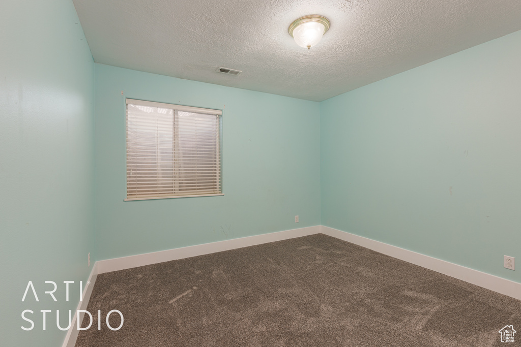 Spare room with carpet floors and a textured ceiling