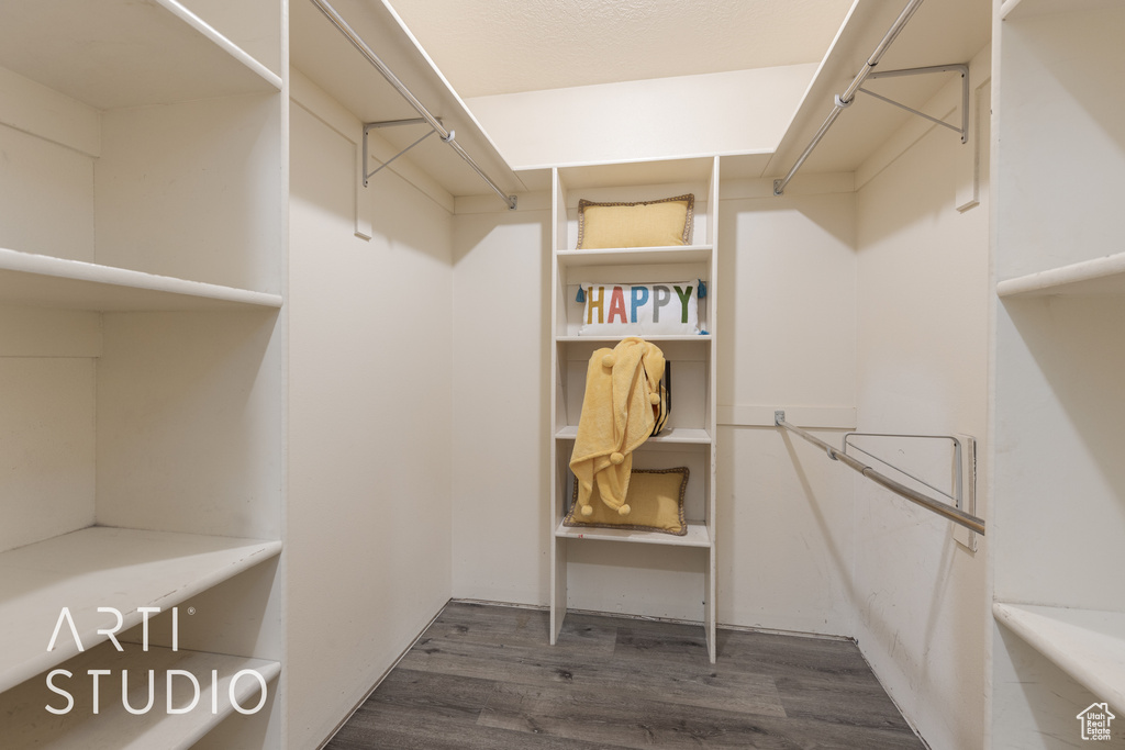 Walk in closet featuring dark hardwood / wood-style flooring