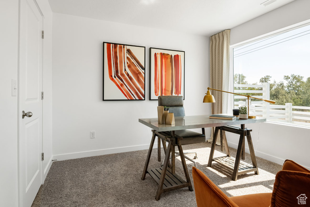 Office area with carpet floors