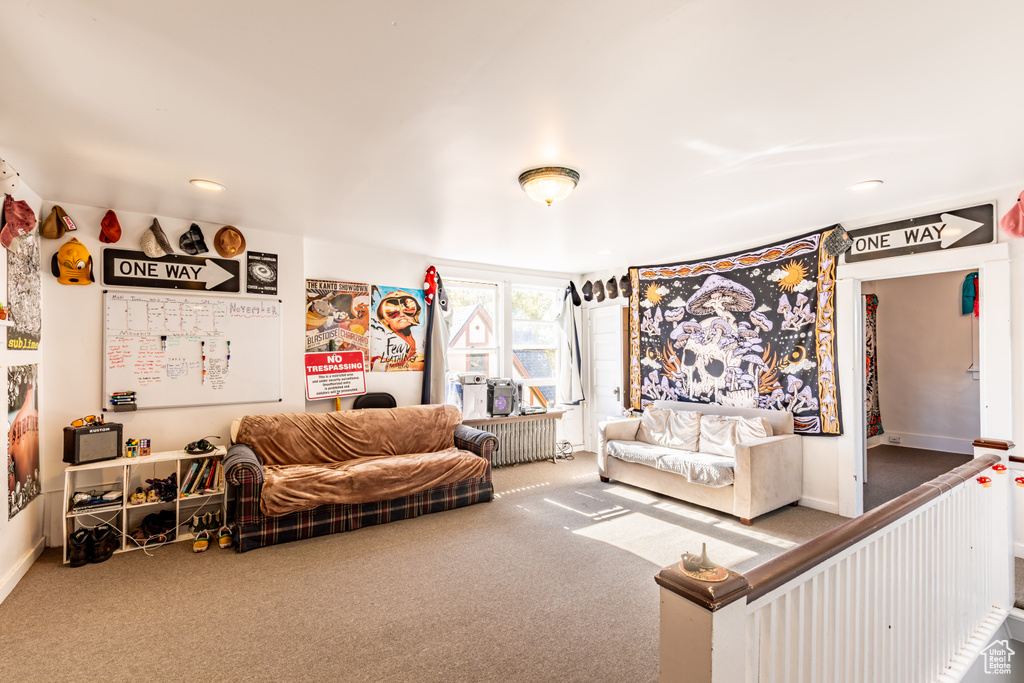 Living room with radiator and carpet