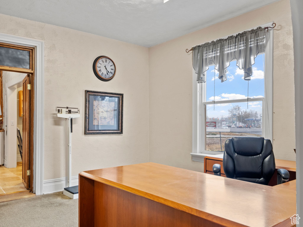 Office space featuring light colored carpet