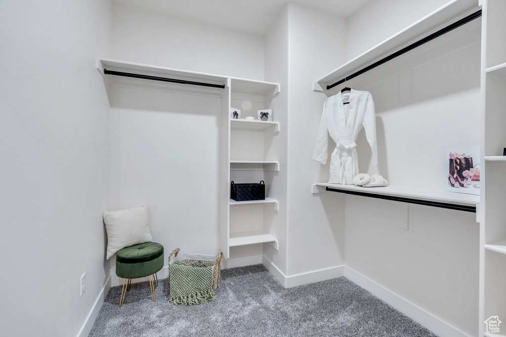 Walk in closet featuring carpet