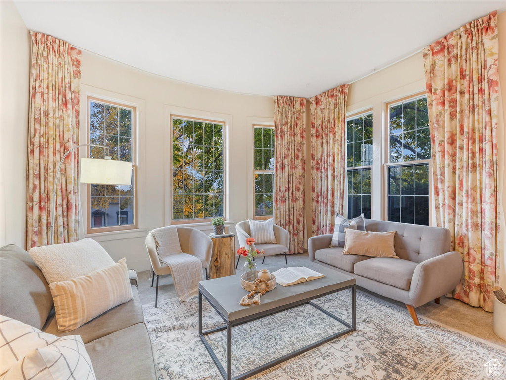 Living room featuring plenty of natural light and carpet floors