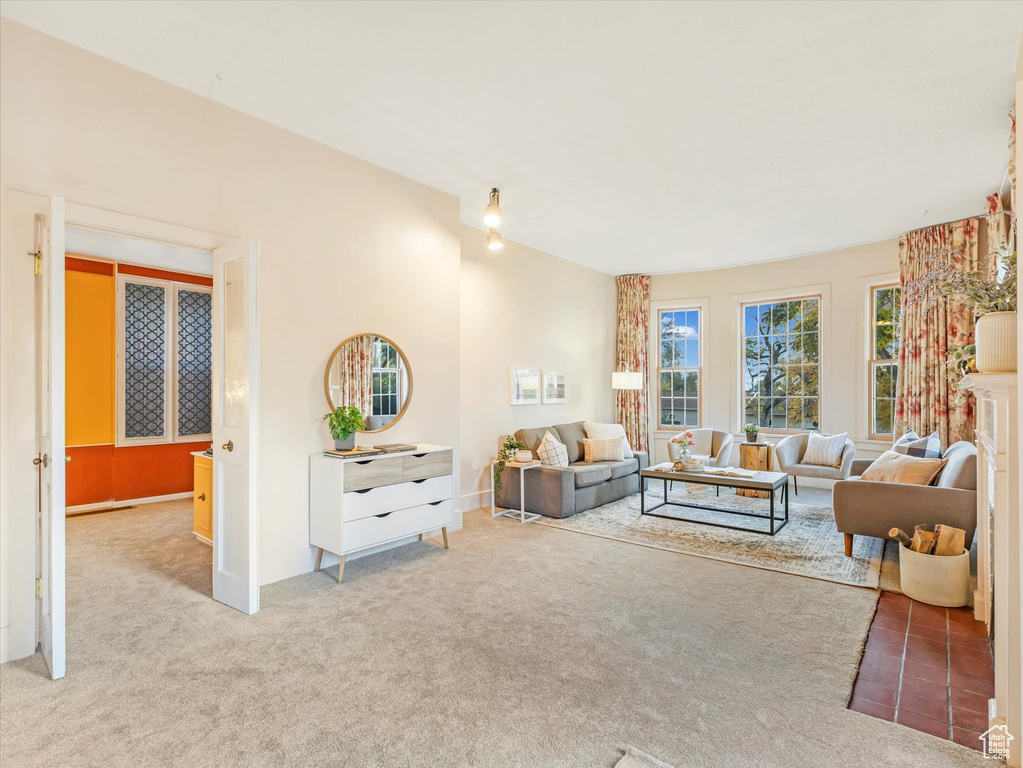 Living room featuring carpet flooring