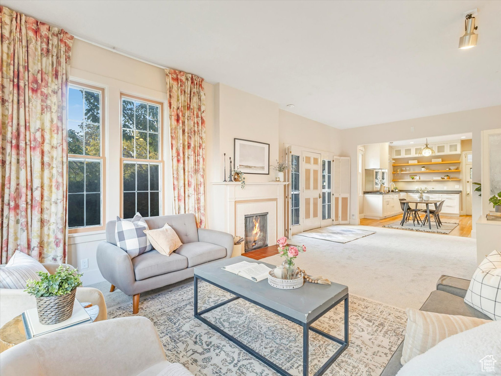 Living room featuring wood-type flooring