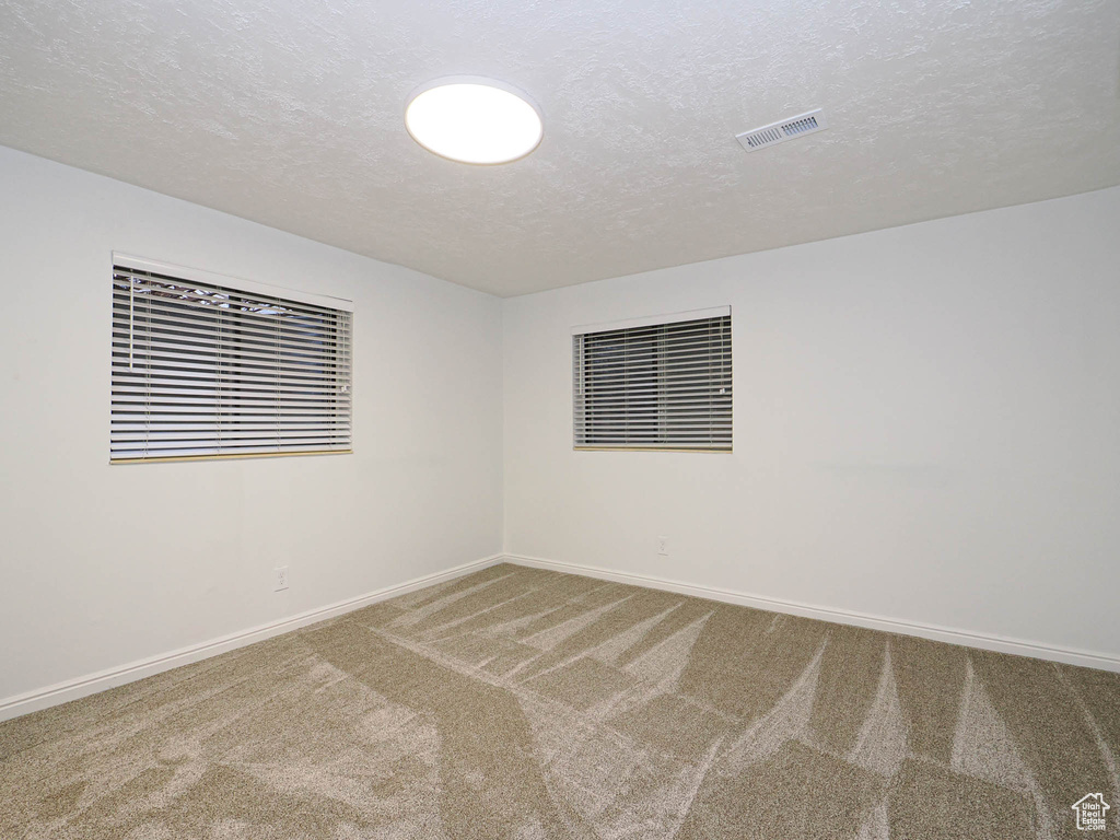 Spare room with carpet and a textured ceiling