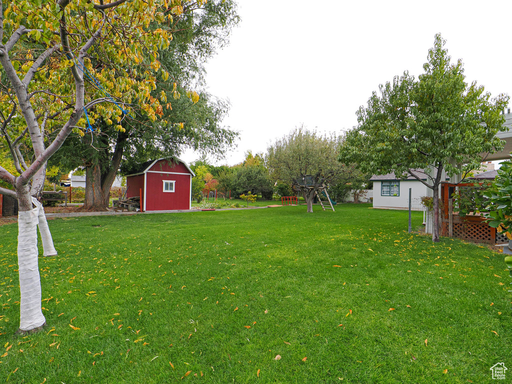 View of yard featuring a shed