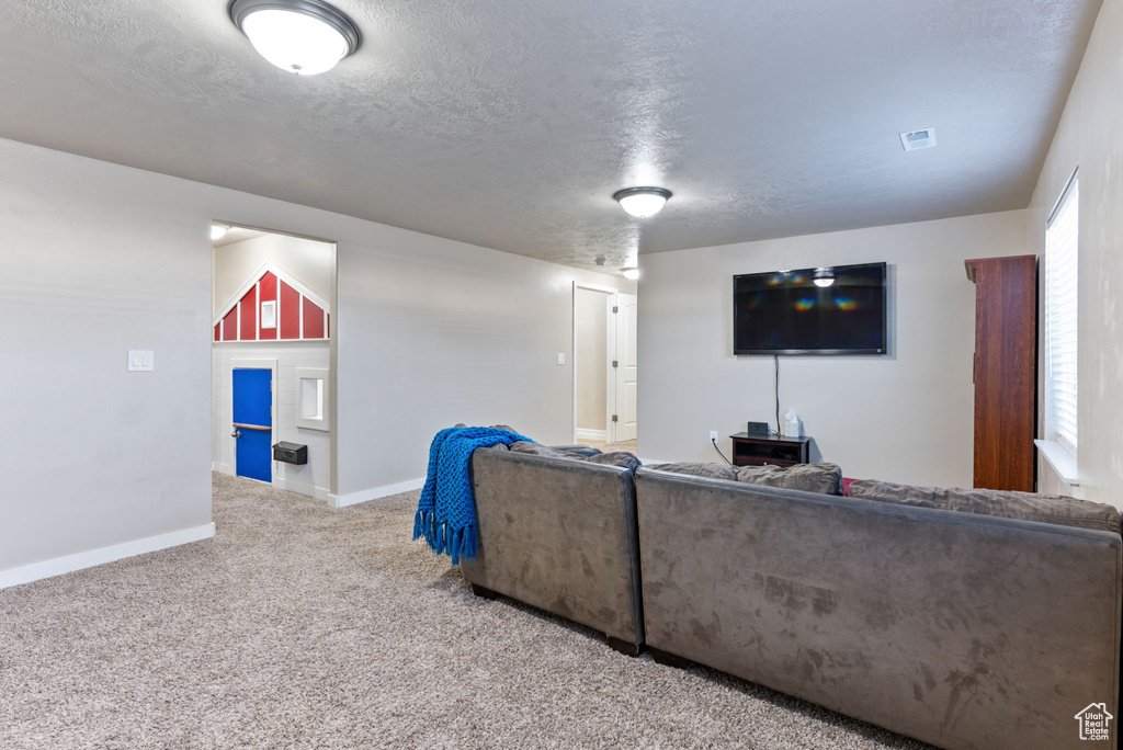 Carpeted living room with a textured ceiling