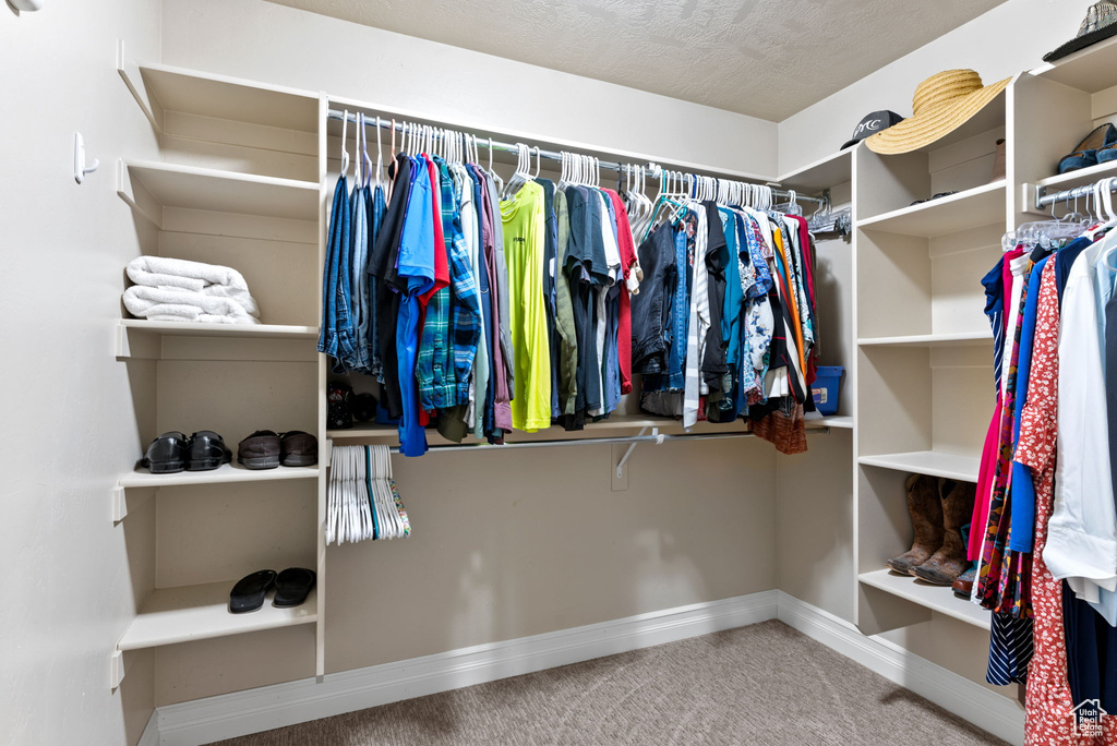 Spacious closet featuring carpet