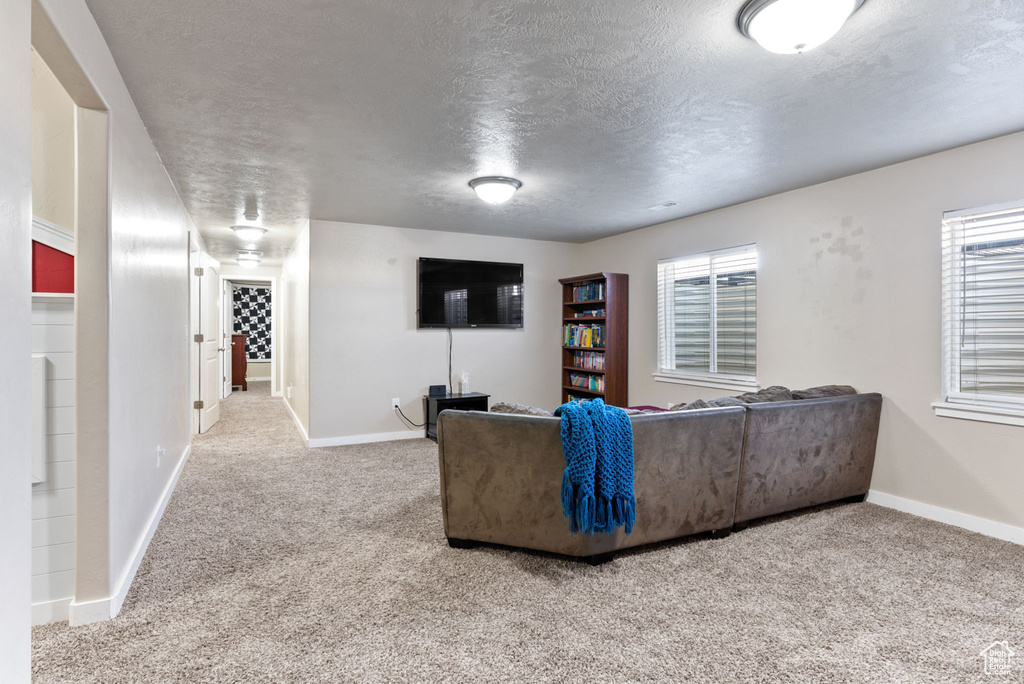 Carpeted living room featuring a wealth of natural light and a textured ceiling