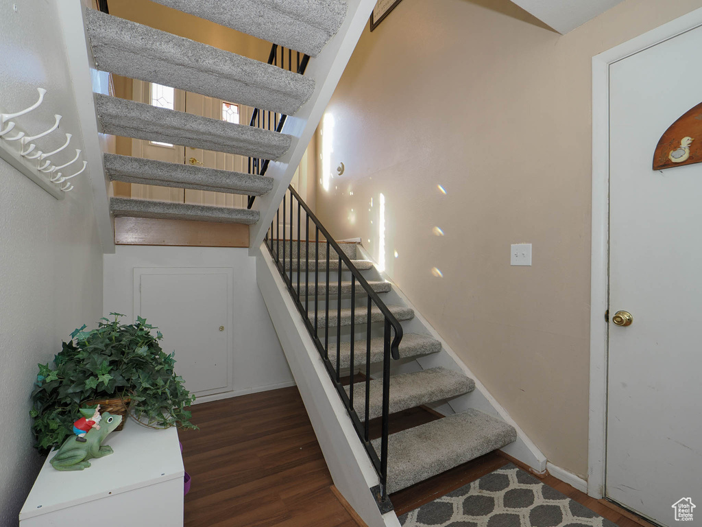 Stairs with hardwood / wood-style floors