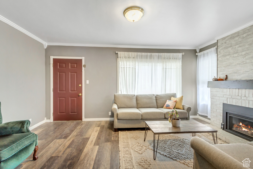 Living room featuring ornamental molding, hardwood / wood-style floors, plenty of natural light, and a fireplace