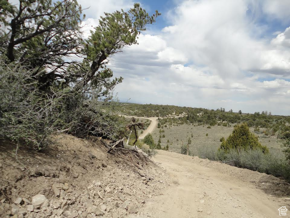 View of landscape