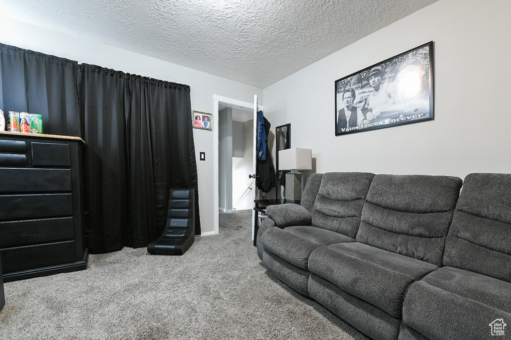 Living room with a textured ceiling and carpet flooring