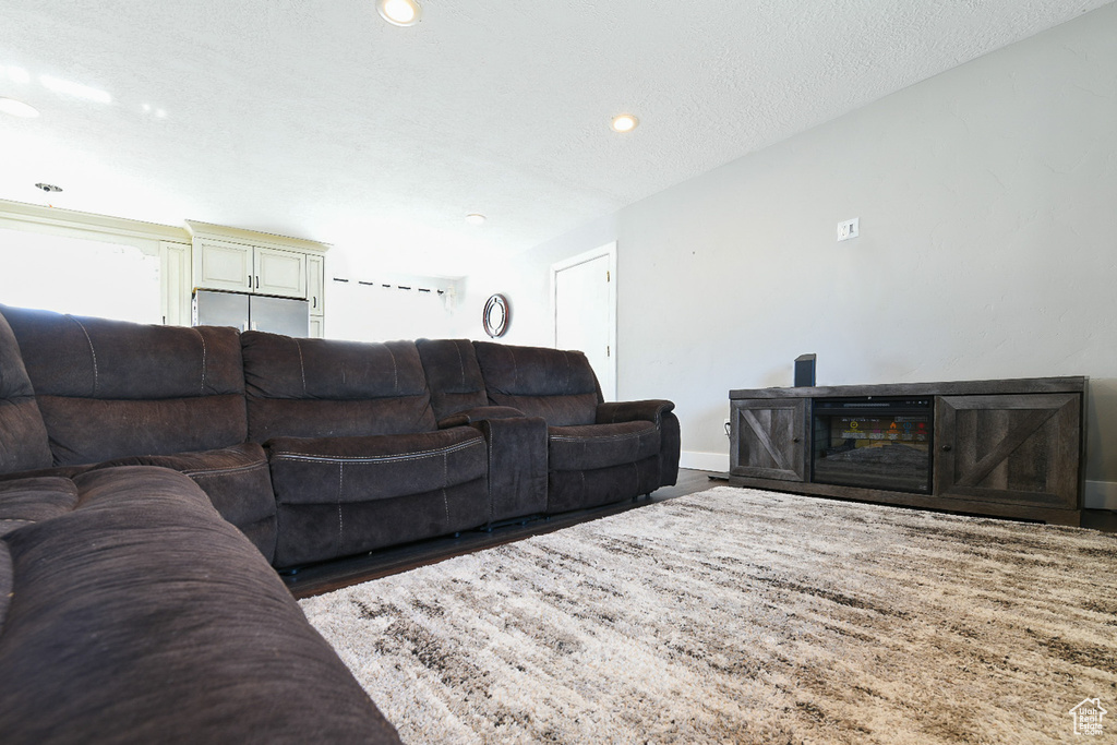 Living room with wood-type flooring and a textured ceiling