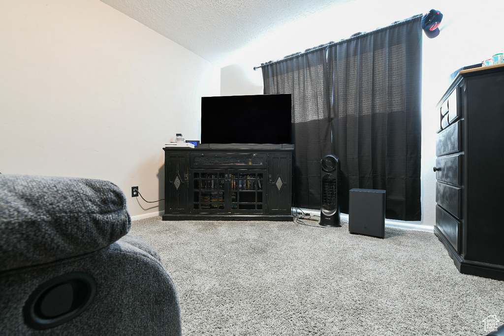 Living room with lofted ceiling, a textured ceiling, and carpet floors