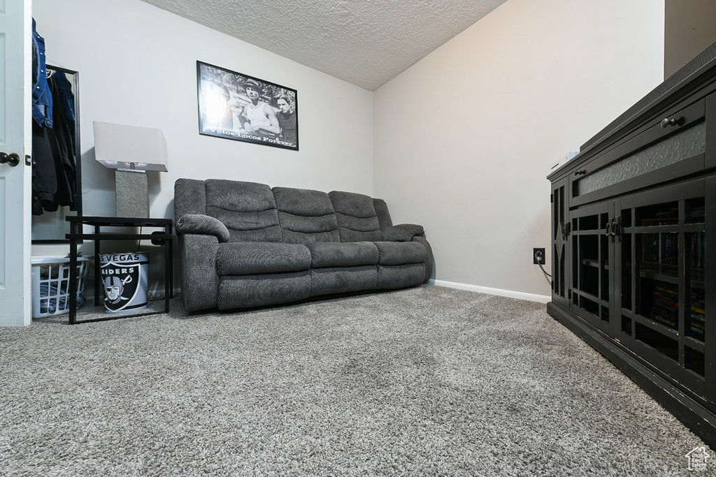 Living room featuring lofted ceiling, a textured ceiling, and carpet flooring