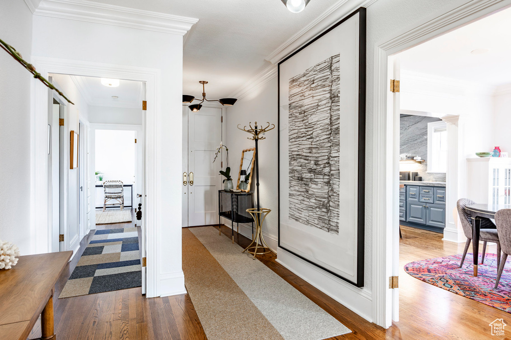 Hallway featuring wood-type flooring and crown molding